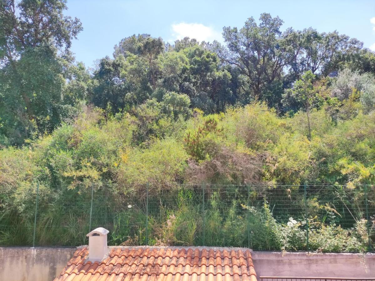 Maremonti Casa vacanze